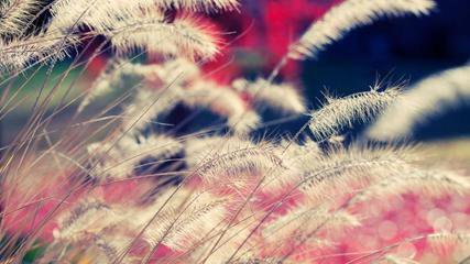 南通不銹鋼的特性